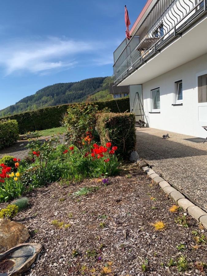 Fewo Moselblick Traben-Trarbach Eksteriør billede